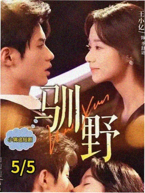 红楼梦 经典重温